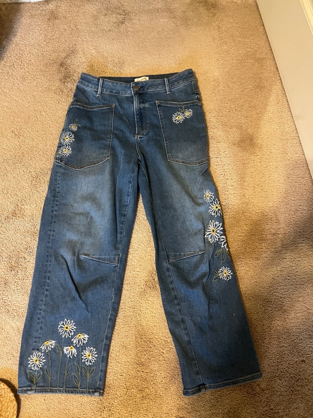 NWOT driftwood jeans embroidered daisy Barbara barrel size 6